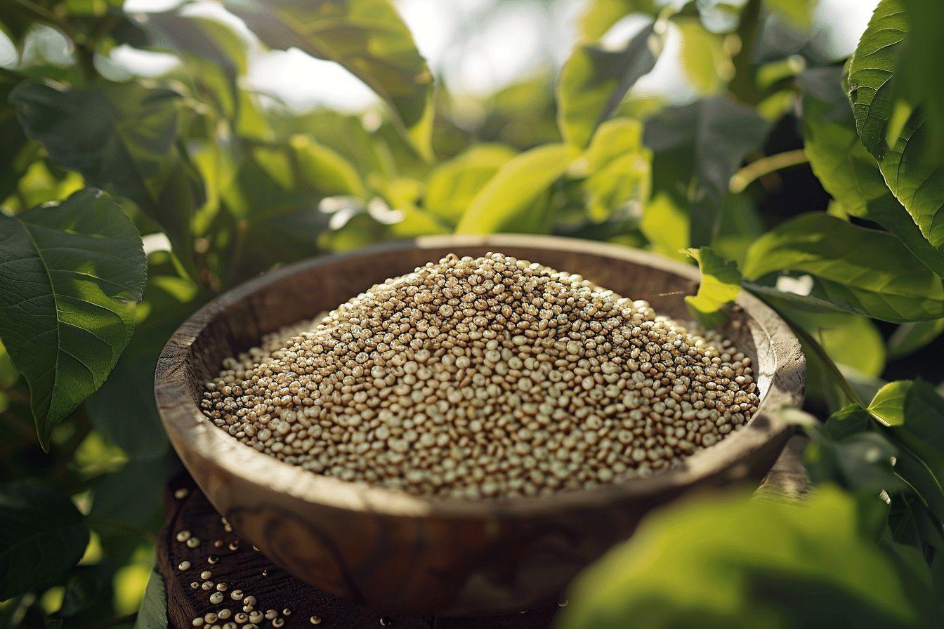 Quinoa : calories, valeurs nutritionnelles et bienfaits santé