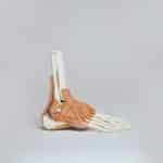 remede grand mere douleur talon